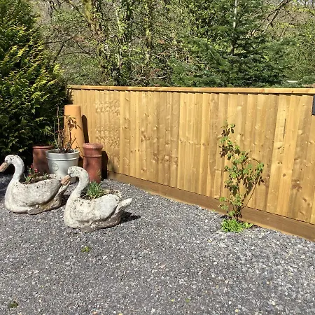 Little London Bed & Breakfast And Glamping Pod Hotel Abercraf Exterior photo