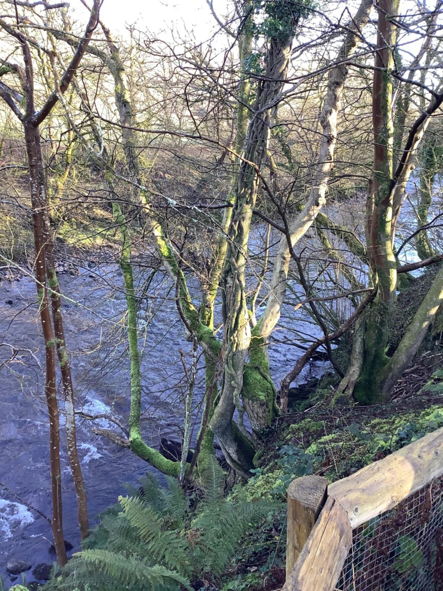 Gasthof Little London Bed & Breakfast And Glamping Pod Abercraf